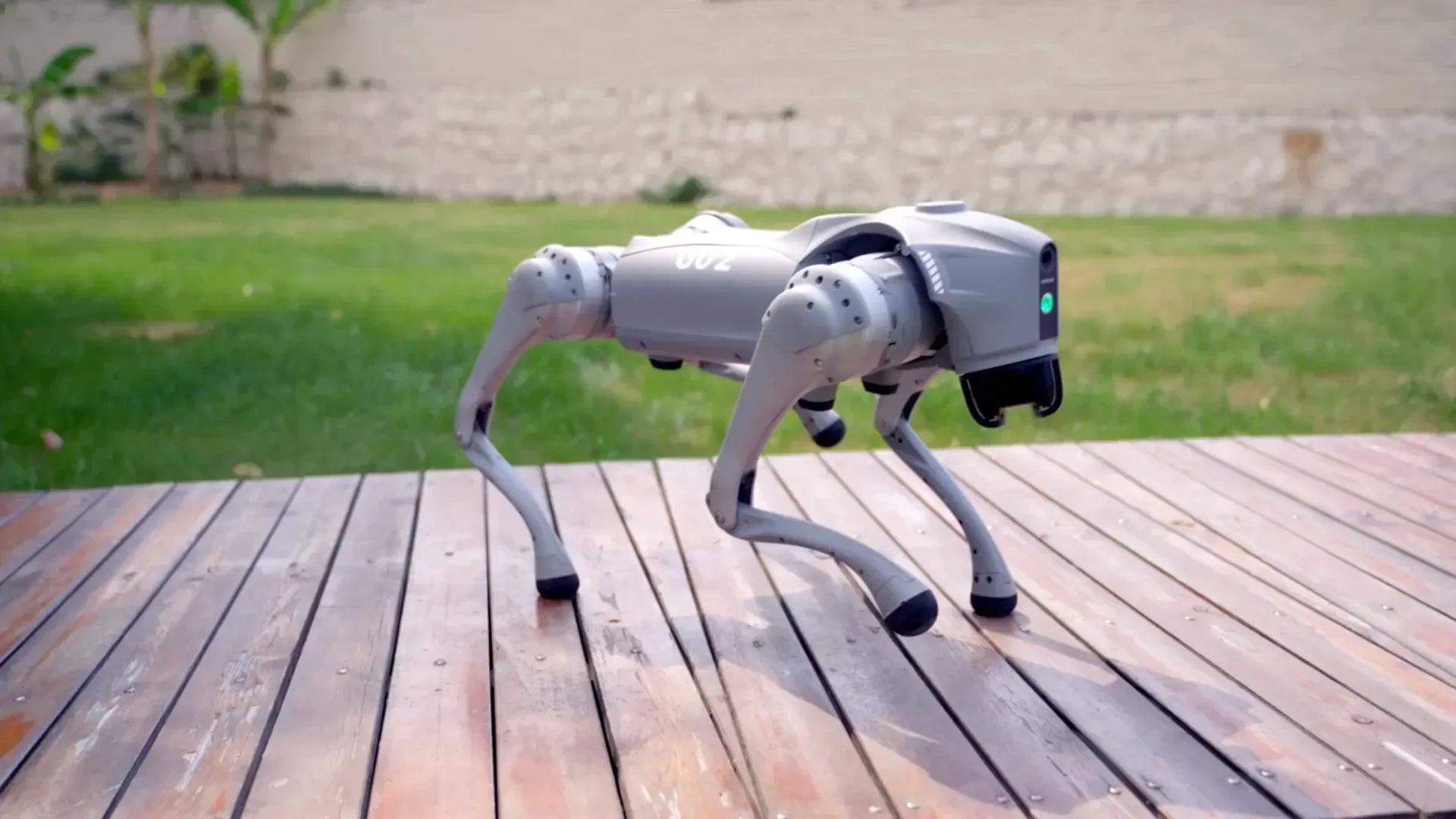 Unitree Go2 EDU | AI Research Quadruped Robot